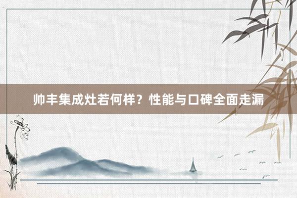 帅丰集成灶若何样？性能与口碑全面走漏
