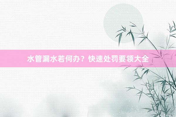水管漏水若何办？快速处罚要领大全