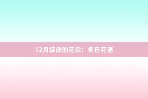 12月绽放的花朵：冬日花语
